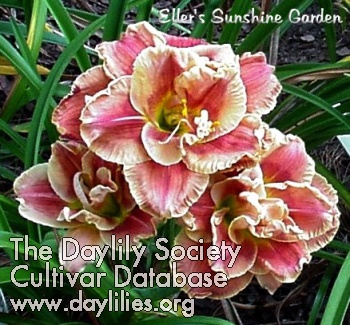 AmandasLittleRedShoes - McLeod Gardens