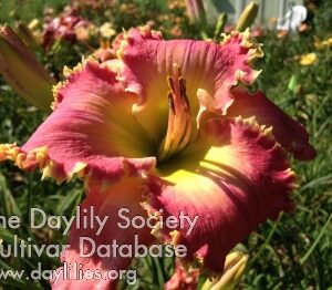 AnotherOneBitestheDust_1576529123 Another One Bites the Dust