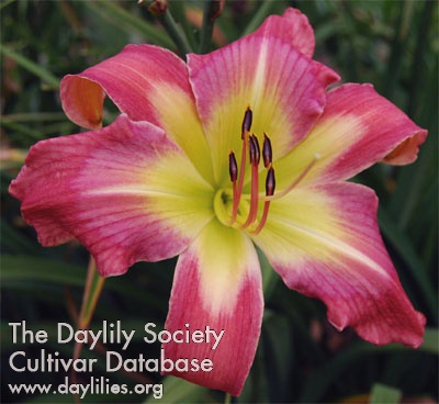 AnythingForLove - McLeod Gardens