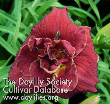 allbranchedout - McLeod Gardens