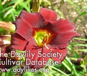 arterial blood - McLeod Gardens