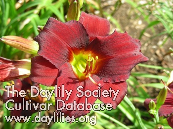 arterial blood - McLeod Gardens